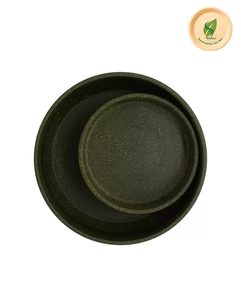 Eco  GrunPaws Pet Bowl - Image 3